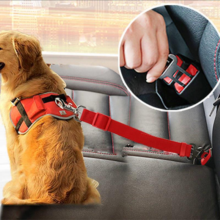 Pet product